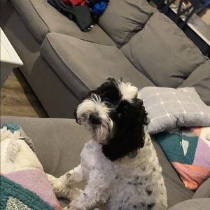 Meet your Posher, Campbell